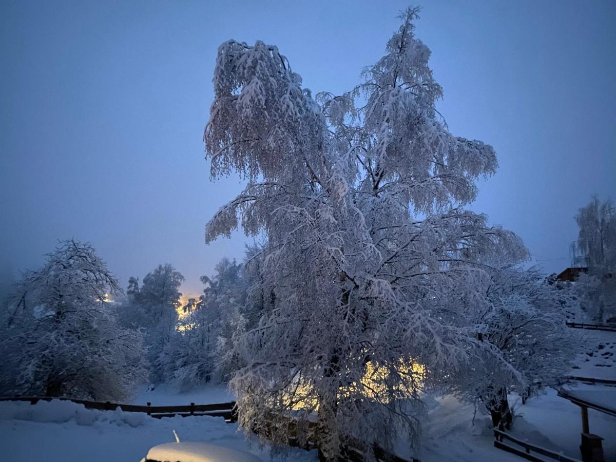Bei Annelie Διαμέρισμα Krakaudorf Εξωτερικό φωτογραφία